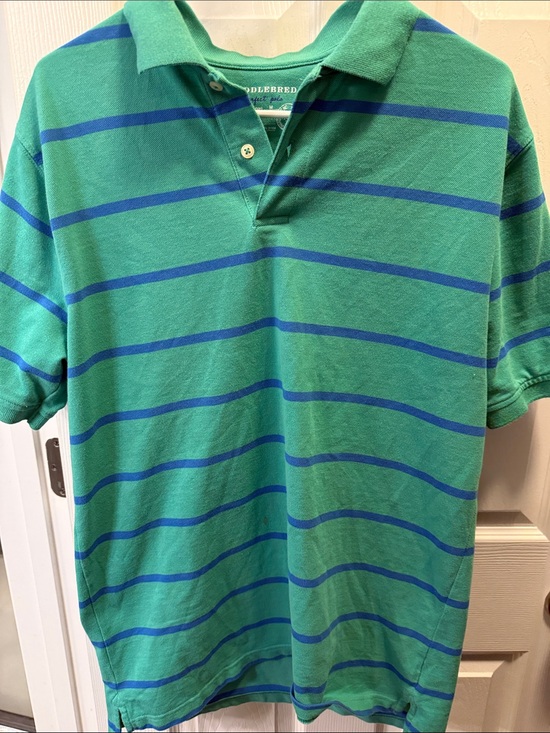 Saddlebred Other - Saddlebred Green Polo with Blue Stripes